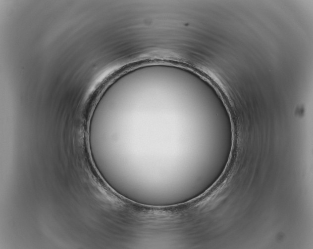 X0000091071115200708061016