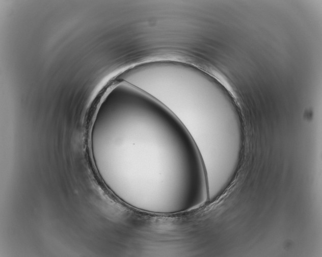 X0000091071116200708061016