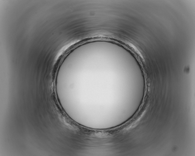 X0000091071117200708061016