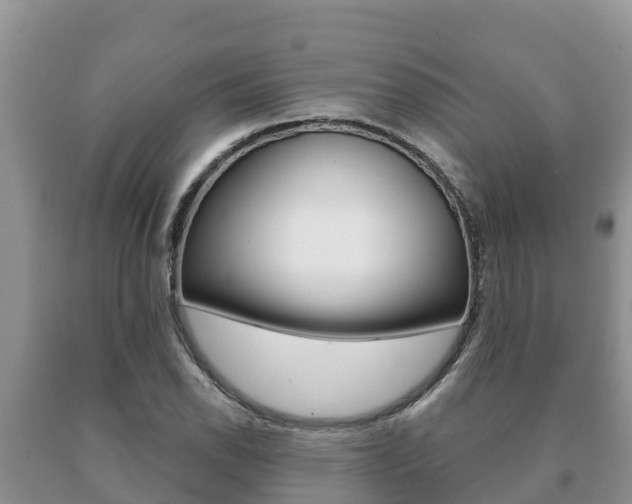 X0000091071118200708061017