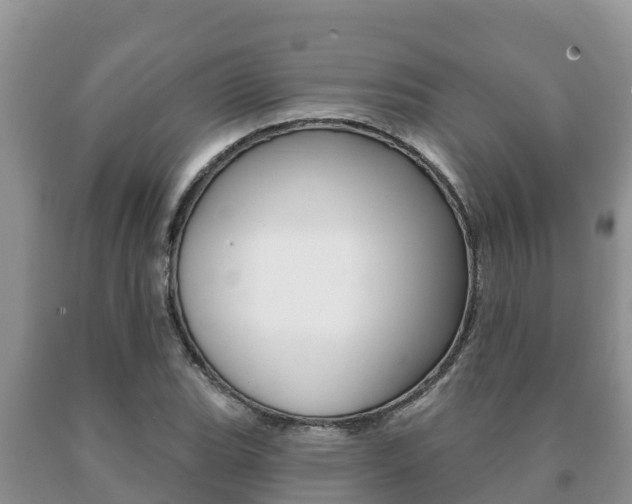 X0000091071119200708061017