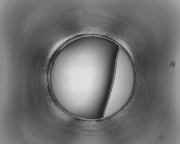 X0000091071120200708061017