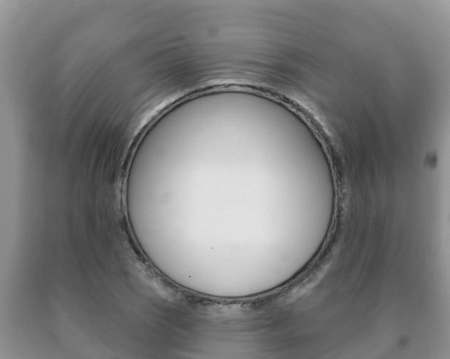 X0000091071121200708061017