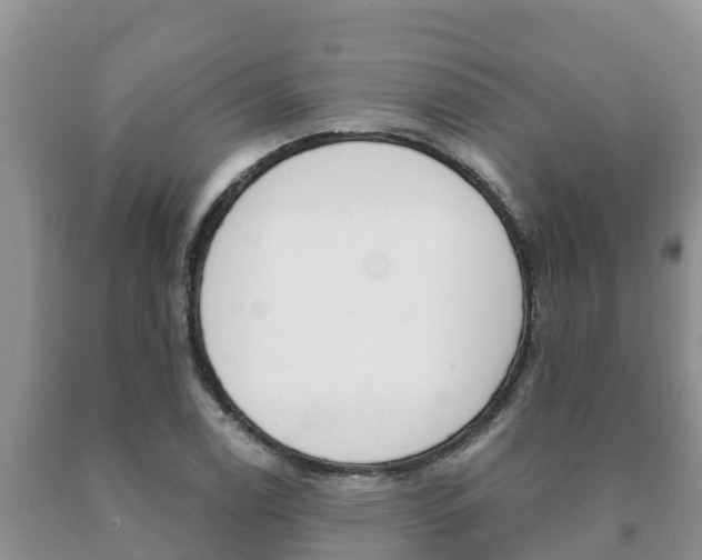 X0000091071122200708061017