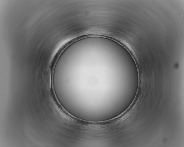 X0000091071123200708061017