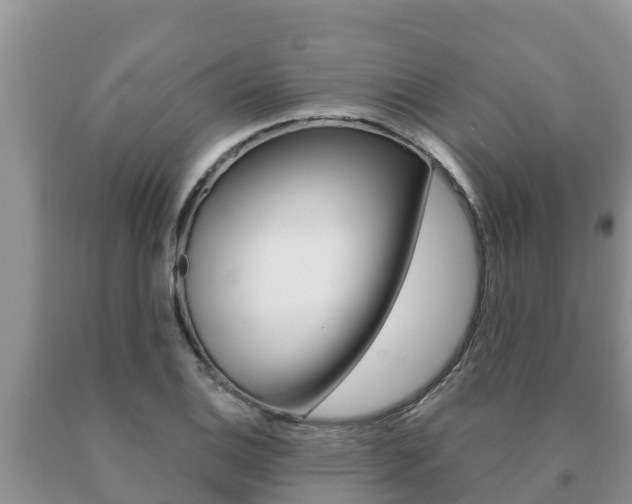 X0000091071124200708061017