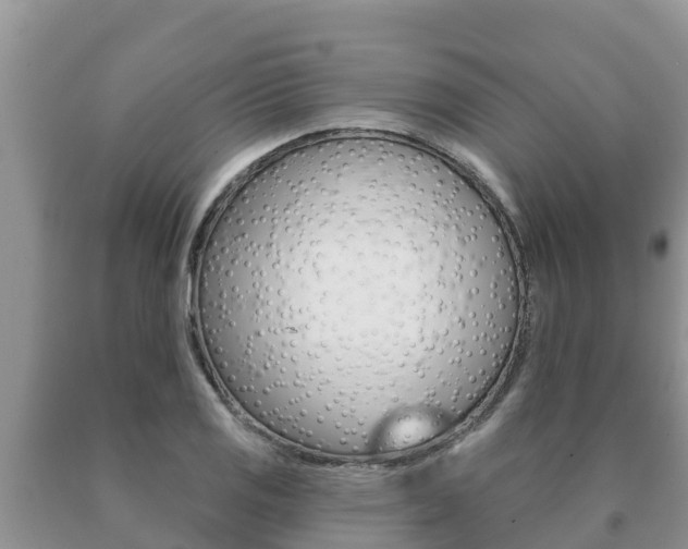 X0000091071125200708061017