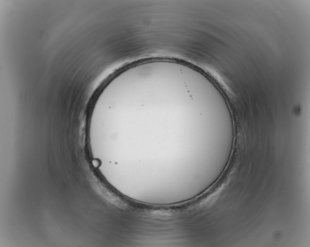 X0000091071126200708061017