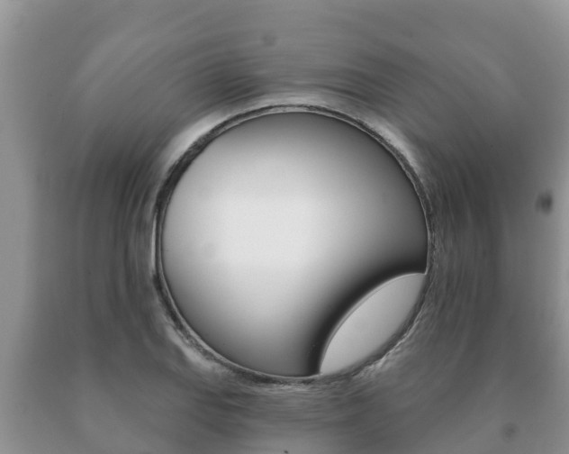 X0000091071127200708061017