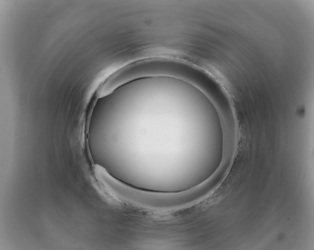 X0000091071128200708061017