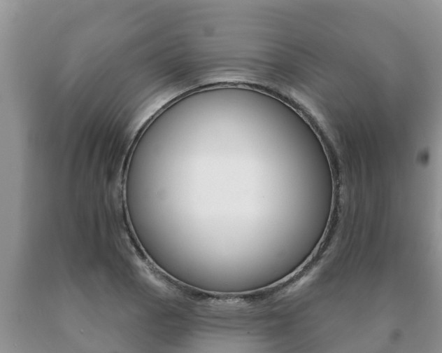 X0000091071129200708061017