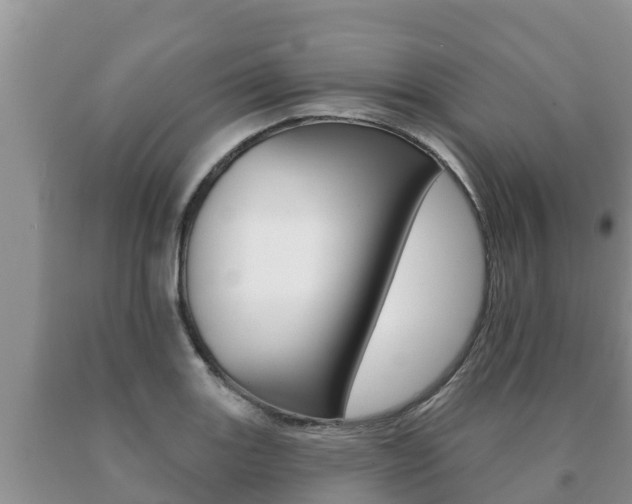 X0000091071131200708061017