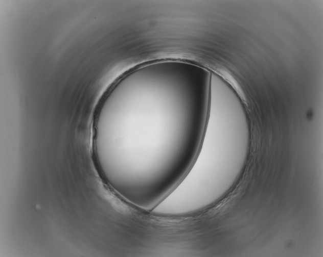 X0000091071132200708061017
