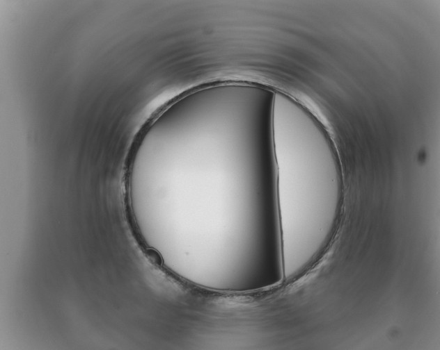 X0000091071133200708061017