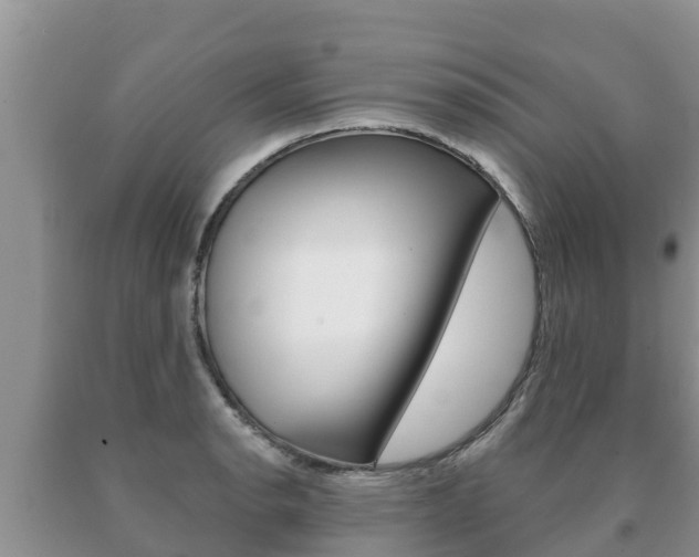 X0000091071134200708061017