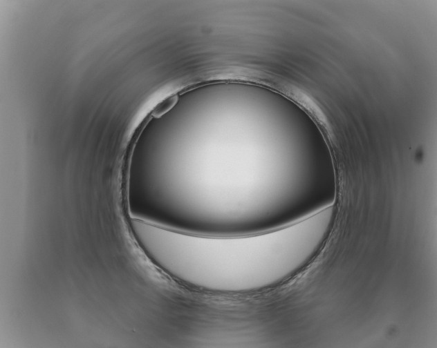 X0000091071138200708061017