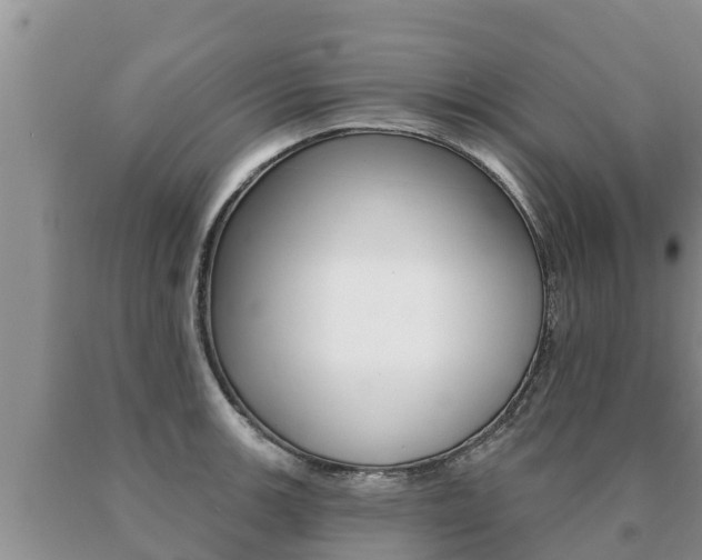 X0000091071139200708061017
