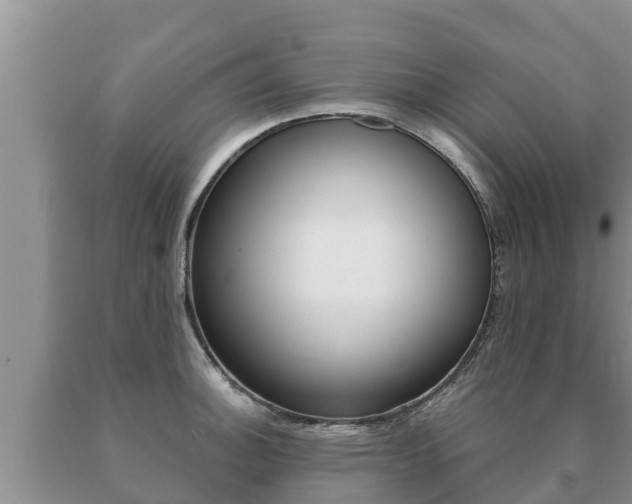 X0000091071140200708061017