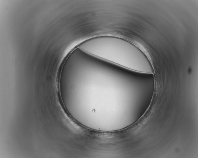 X0000091071141200708061017