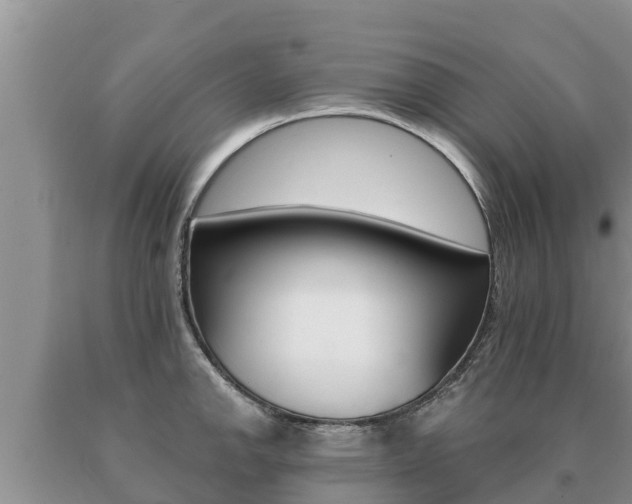 X0000091071142200708061017