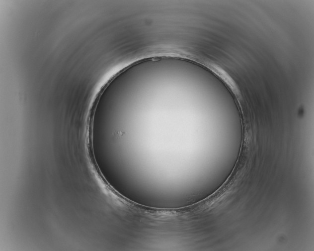 X0000091071144200708061017