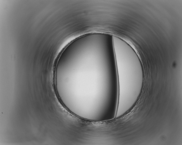 X0000091071147200708061017