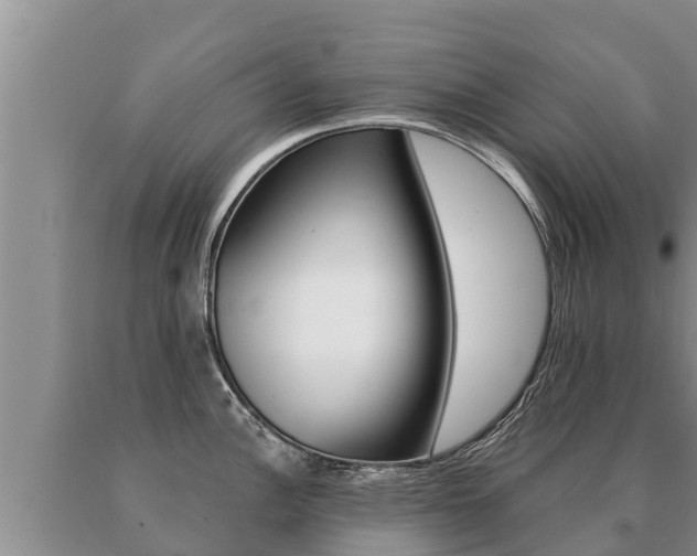 X0000091071148200708061017