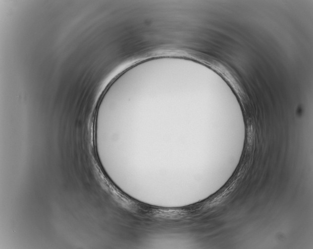 X0000091071150200708061017