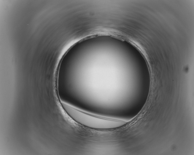 X0000091071152200708061017