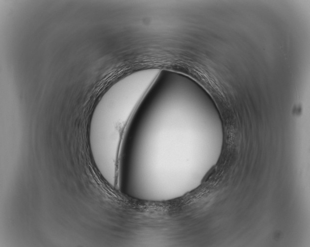 X0000091071153200708061016