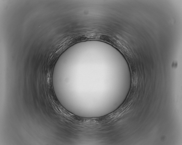 X0000091071154200708061016