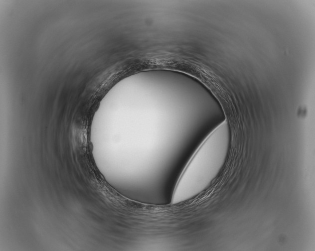 X0000091071155200708061016