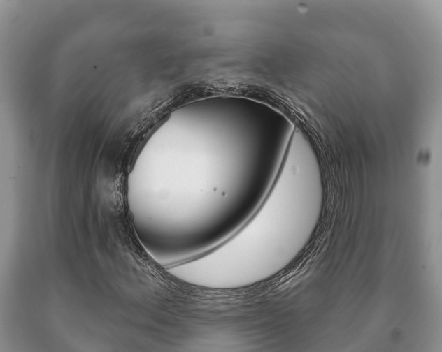 X0000091071156200708061016