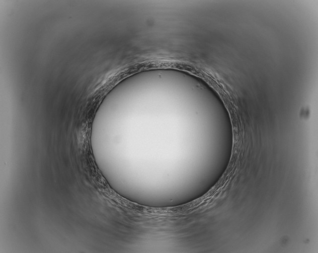 X0000091071157200708061016