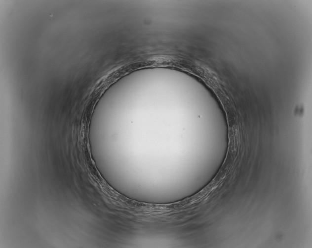 X0000091071158200708061016