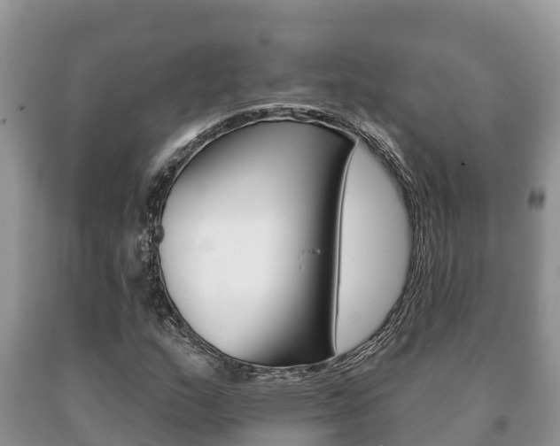 X0000091071159200708061016
