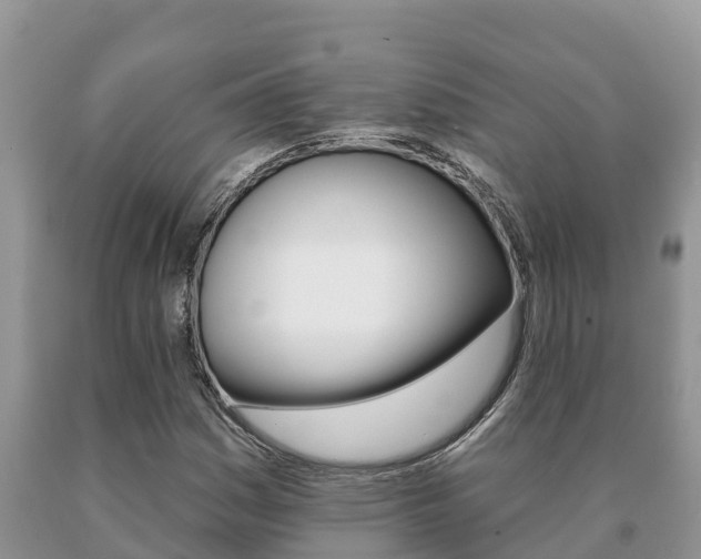 X0000091071161200708061016
