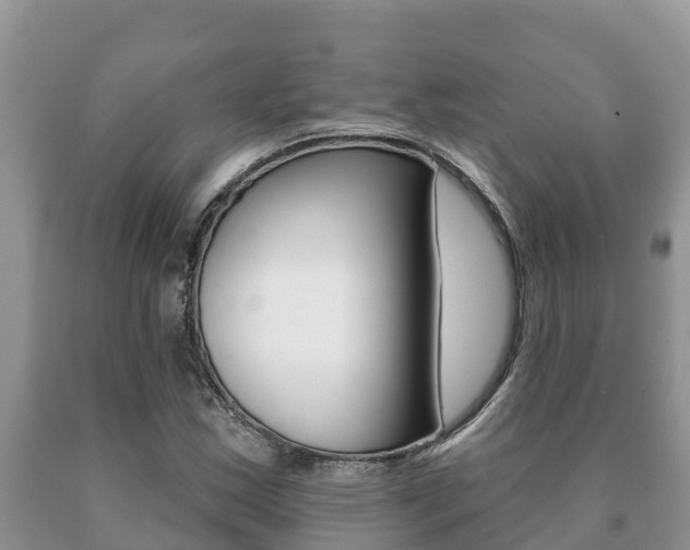 X0000091071163200708061016