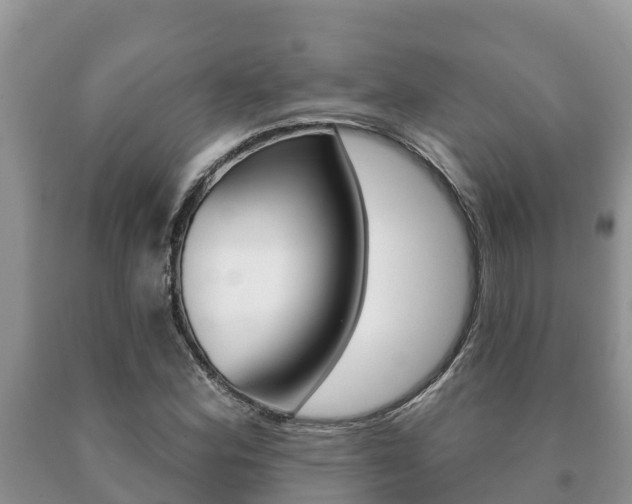 X0000091071164200708061016