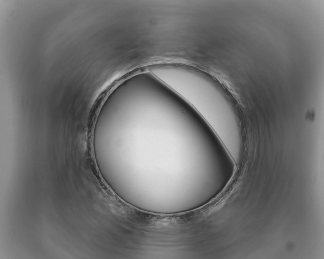 X0000091071165200708061016