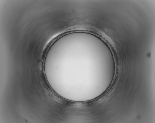 X0000091071166200708061016