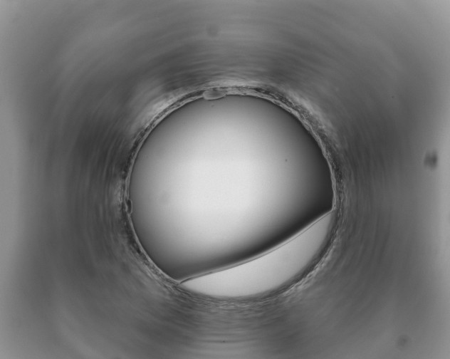X0000091071169200708061016
