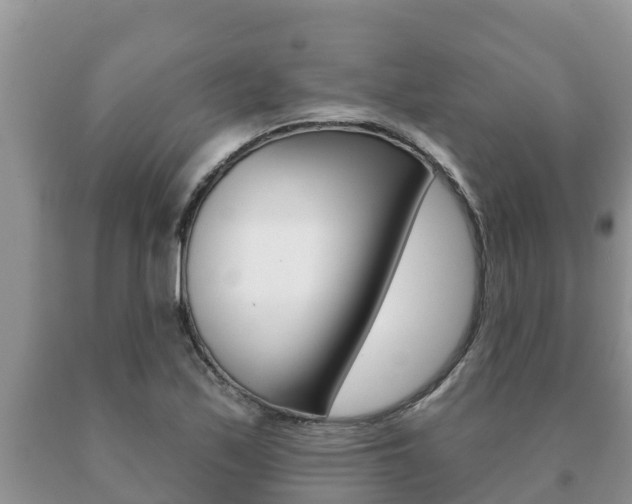 X0000091071171200708061016