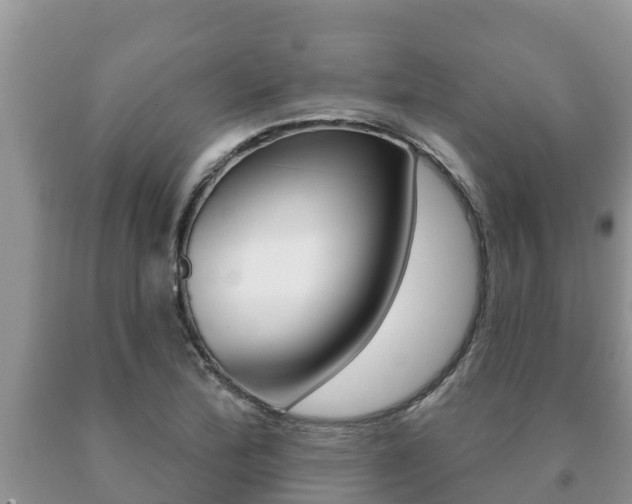 X0000091071172200708061016