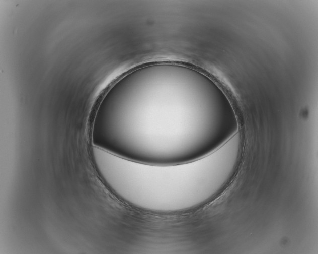X0000091071173200708061016