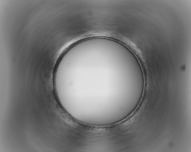 X0000091071174200708061016
