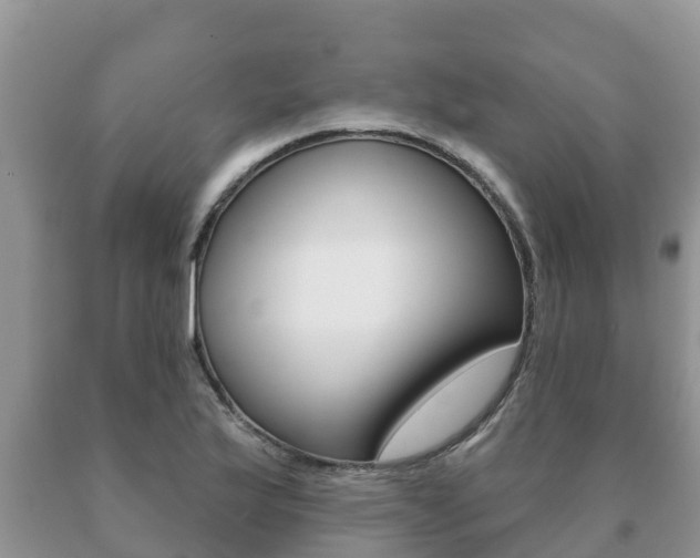 X0000091071175200708061016