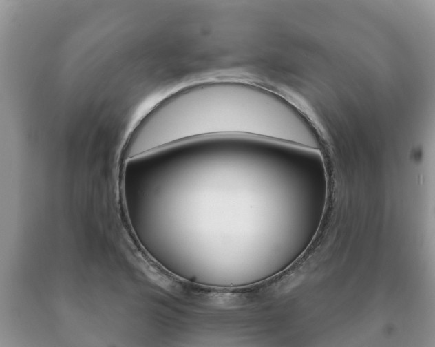 X0000091071176200708061016