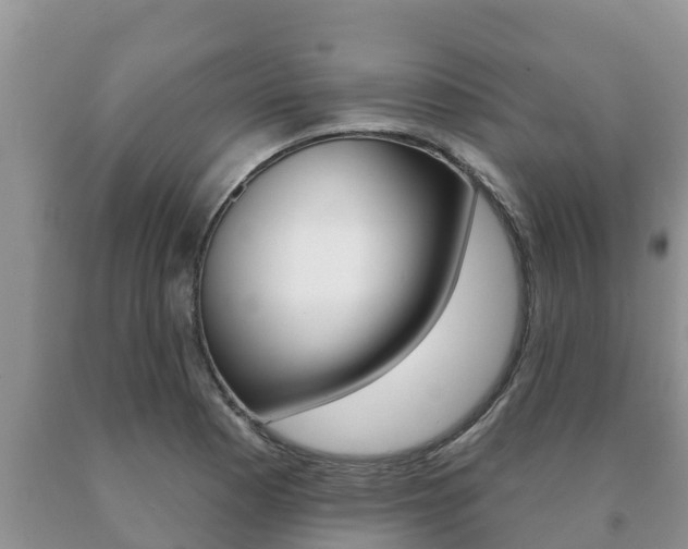 X0000091071177200708061016
