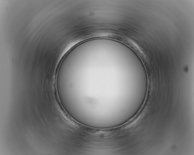 X0000091071178200708061016